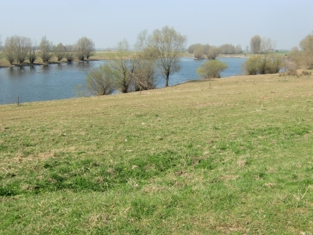 Wesel-Bislich : Marwick, Rheinaue